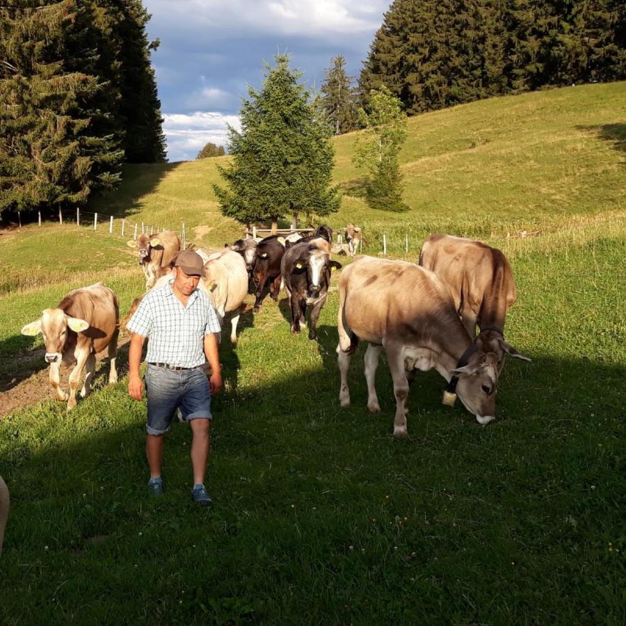 Andreashof Villa Heimenkirch Bagian luar foto