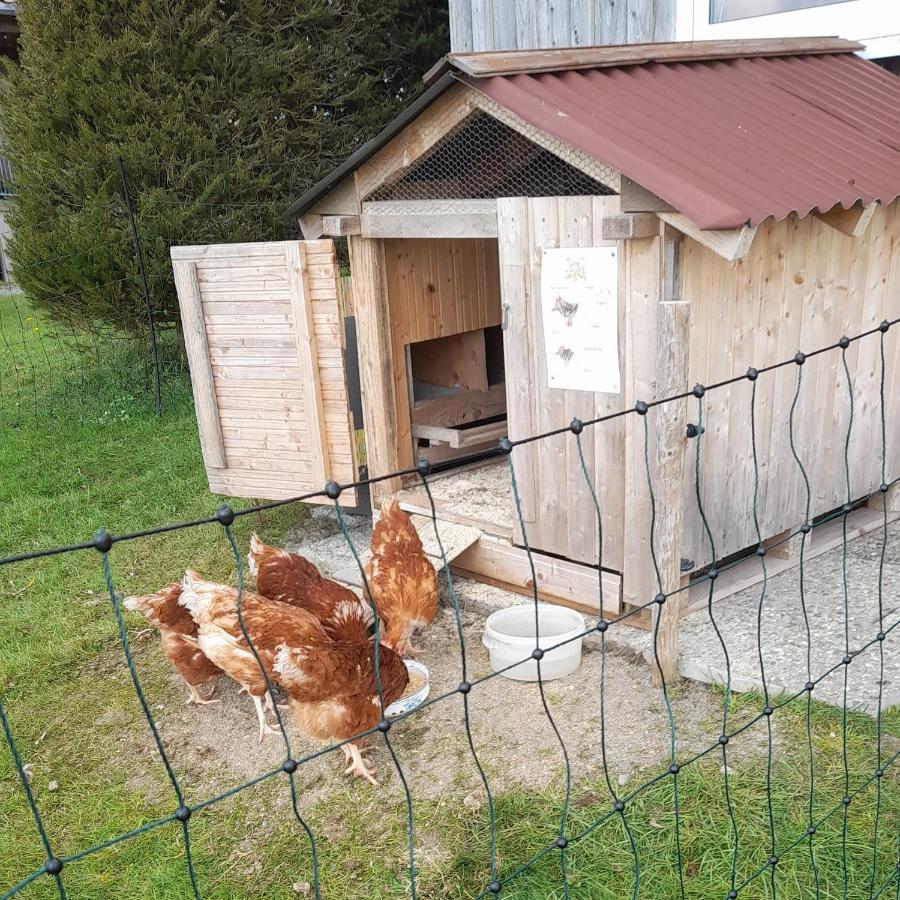 Andreashof Villa Heimenkirch Bagian luar foto